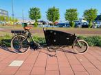 Vogue e-cargo elektrische bakfiets tweewieler carry 2 NIEUW!, Fietsen en Brommers, Fietsen | Bakfietsen, Ophalen, Nieuw, 3 kinderen