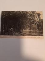 Leek, Nienoord gezicht op burcht en poort. rondstempel Leek, Verzenden, Voor 1920, Gelopen, Noord-Brabant