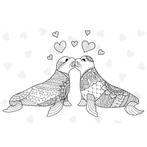 Zeehonden kaart bij Stichting Superwens!, Ophalen of Verzenden, Nieuw