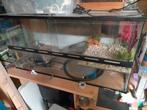 Terrarium, Dieren en Toebehoren, Ophalen of Verzenden, Zo goed als nieuw, Terrarium of Paludarium
