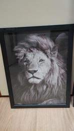 Zwart-wit leeuwenfoto in lijst, Huis en Inrichting, Woonaccessoires | Schilderijen, Tekeningen en Foto's, Minder dan 50 cm, Oorspronkelijke maker