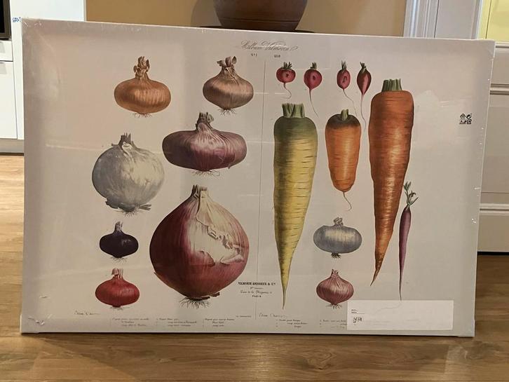 Groot schilderij/wanddecoratie groente. Vilmorin stijl, Huis en Inrichting, Woonaccessoires | Schilderijen, Tekeningen en Foto's