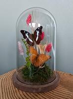 Vlinders in stolp - Uniek handgemaakt cadeau!, Ophalen of Verzenden, Nieuw