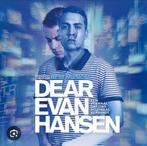 Dear evan hansen Martiniplaza 1 november, Tickets en Kaartjes, Overige Tickets en Kaartjes, Twee personen