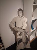 Elvis stand up, Ophalen of Verzenden