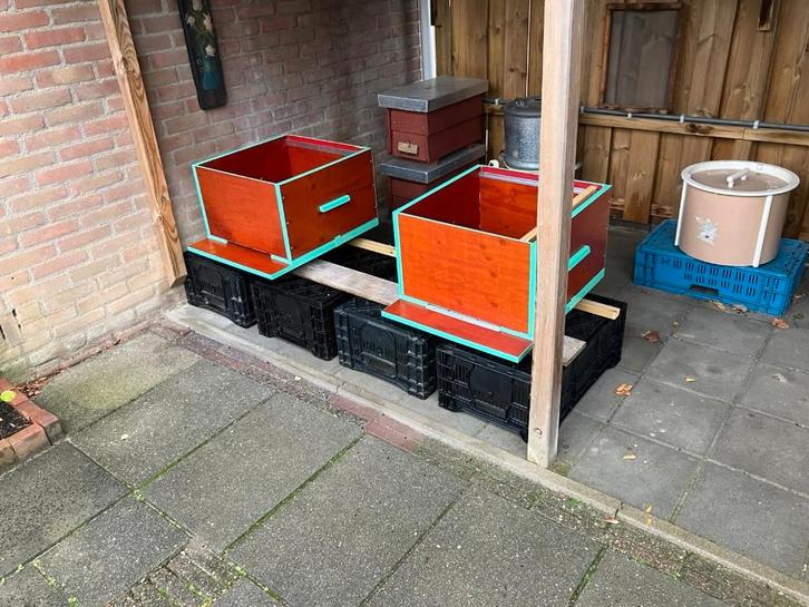 Bijenkasten, Dieren en Toebehoren, Insecten en Spinnen, Bijen