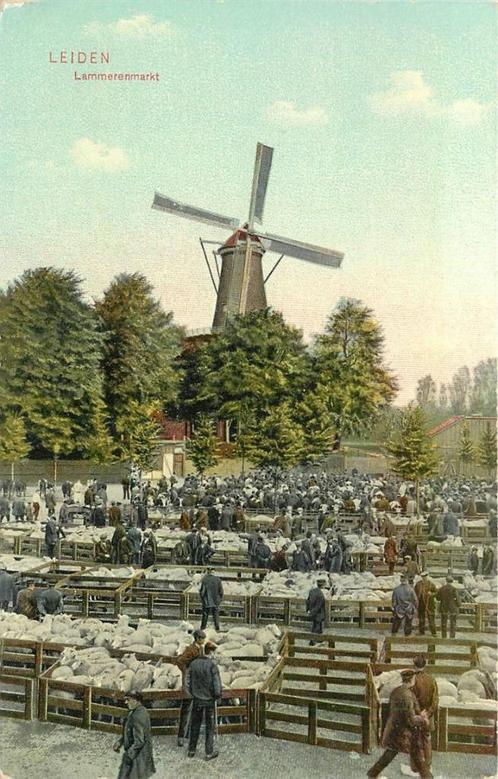 (379-093-019) Leiden Lammerenmarkt, Verzamelen, Ansichtkaarten | Nederland, Zuid-Holland, Voor 1920, Verzenden