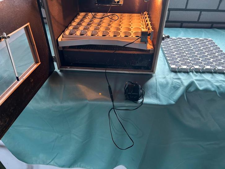 Broedmachine volledig automatisch, Dieren en Toebehoren, Pluimvee, Kip