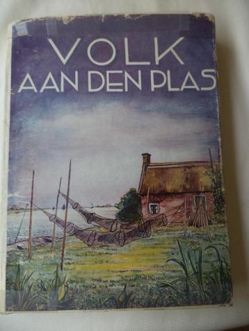 Volk aan den Plas, Friesland, met losse stofomslag, Dorhout beschikbaar voor biedingen