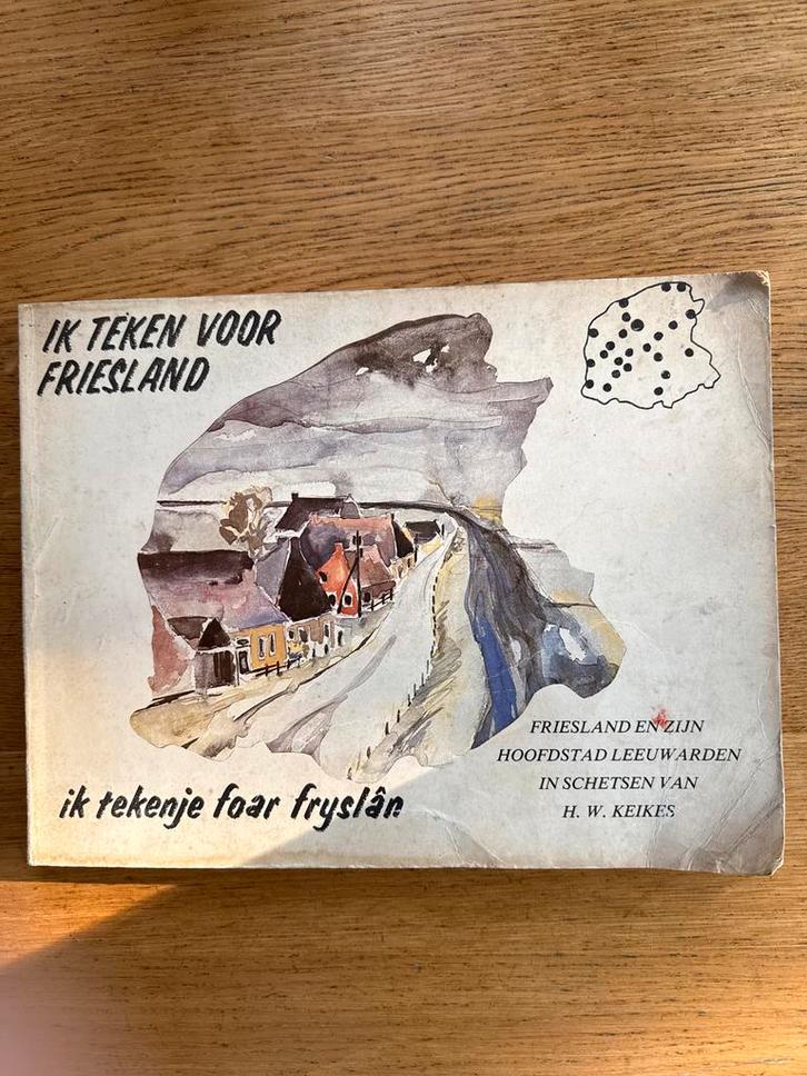 Ik teken voor Friesland - H.W. Keikes, Boeken, Geschiedenis | Stad en Regio, Gelezen, Ophalen of Verzenden