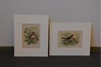 2 Vogelprenten van J.G. Keulemans uit 1879, Ophalen of Verzenden
