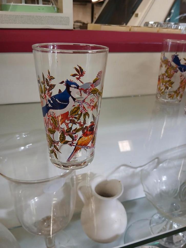 Glazen met Vogel Afbeeldingen, Huis en Inrichting, Keuken | Keukenbenodigdheden, Ophalen