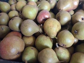 Stoofperen gieser wildeman beschikbaar voor biedingen