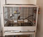 Vogel kooi, Ophalen, Zo goed als nieuw, Volière