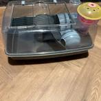 Hamster kooi, Minder dan 60 cm, Kooi, Minder dan 75 cm, Ophalen of Verzenden