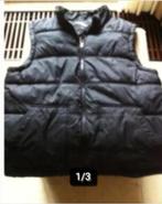 Dames Bodywarmer Cedar Wood state zwart maat L, Maat 52/54 (L), Cedar Wood State, Zwart, Ophalen of Verzenden