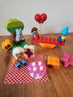 Duplo 10832 - Verjaardagspicknick - compleet!, Ophalen of Verzenden, Gebruikt, Duplo