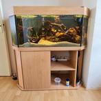 Compleet aquarium met vissen, pomp enz., Dieren en Toebehoren, Vissen | Aquaria en Toebehoren, Ophalen of Verzenden, Gevuld zoetwateraquarium