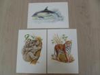 3 x Dieren tekeningen en veel info hierbij. Nieuw. Als kado?, Ophalen of Verzenden