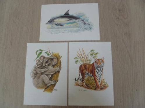 3 x Dieren tekeningen en veel info hierbij. Nieuw. Als kado?, Antiek en Kunst, Kunst | Tekeningen en Foto's, Ophalen of Verzenden
