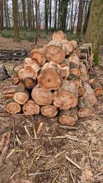 Haardhout/ brandhout blokken sequoia. Ruim 20 kuub. 30 cm, Tuin en Terras, 6 m³ of meer, Ophalen, Overige houtsoorten, Blokken