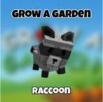 Raccoon (Grow A Garden) roblox, Ophalen, Online, 1 speler, Zo goed als nieuw