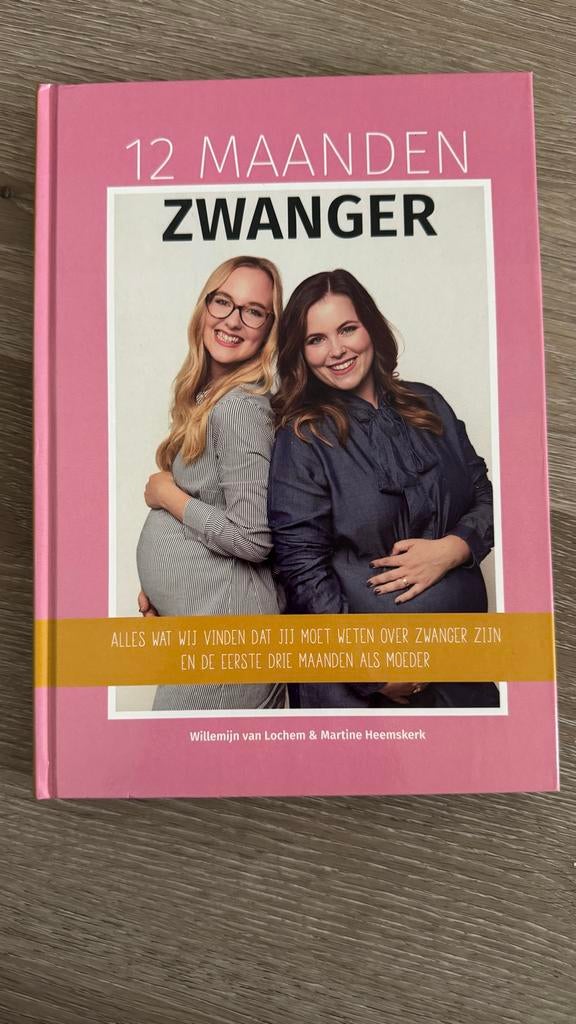 12 Maanden Zwanger- Willemijn van Lochem & Martine heemskerk, Boeken, Zwangerschap en Opvoeding, Ophalen of Verzenden, Zo goed als nieuw