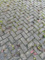 Ca. 1350 m² betonklinker grijze BKK 8 cm (rond Q2 van 2026), Ophalen, Gebruikt, Klinkers, 10 m² of meer