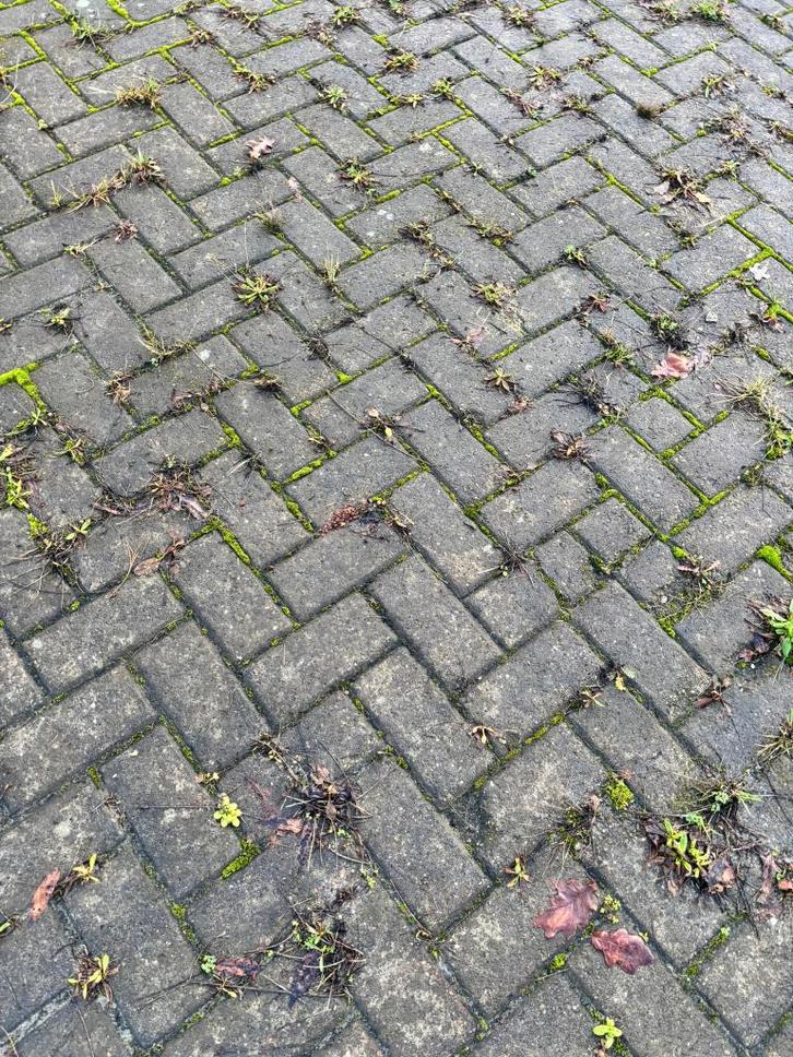 Ca. 1350 m² betonklinker grijze BKK 8 cm (rond Q2 van 2026), Tuin en Terras, Tegels en Klinkers, Gebruikt, Klinkers, Beton, 10 m² of meer