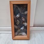 Uilen kastje, Antiek en Kunst, Curiosa en Brocante, Ophalen of Verzenden