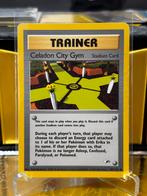 Celadon City Gym (GH 107) Gym Heroes, Hobby en Vrije tijd, Verzamelkaartspellen | Pokémon, Ophalen of Verzenden, Zo goed als nieuw