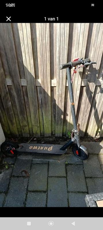 PHAEWO merk  beschikbaar voor biedingen
