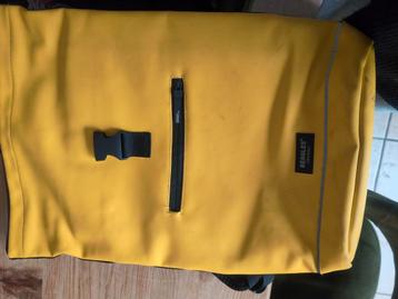 Beagles Rugtas - Geel beschikbaar voor biedingen