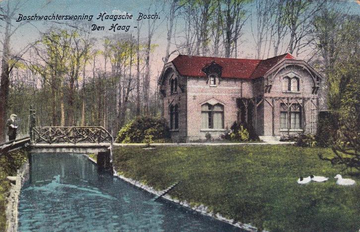 00190 Den Haag - Boschwachterswoning Haagsche Bosch, Verzamelen, Ansichtkaarten | Nederland, Gelopen, Zuid-Holland, Voor 1920