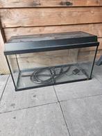 Juwel aquarium, Dieren en Toebehoren, Vissen | Aquaria en Toebehoren, Ophalen, Leeg aquarium