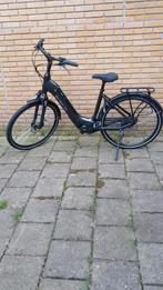Sparta C grid enrgy 20/21, Ophalen, Sparta, Zo goed als nieuw, 51 tot 55 cm