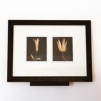 Minimalistische IKEA ingelijste poster met bloemen, Verzamelen, Gebruikt, Deurposter of groter, Ophalen of Verzenden, Overige vormen