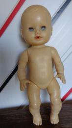 Popje Schildpad Schildkrot Duitsland, Ophalen, Zo goed als nieuw, Babypop