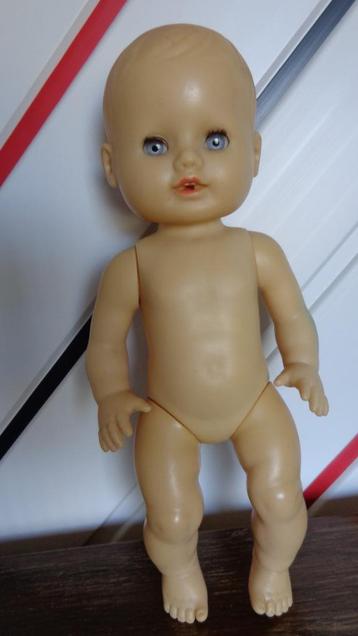 Popje Schildpad Schildkrot Duitsland beschikbaar voor biedingen