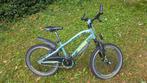 Alpina Yabber 20 inch - Groen, Ophalen, Gebruikt, Alpina, Handrem