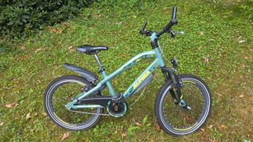 Alpina Yabber 20 inch - Groen beschikbaar voor biedingen