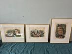 uilen gravures in lijst, Antiek en Kunst, Kunst | Etsen en Gravures, Ophalen