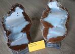 Thunderegg Oregon, Verzamelen, Mineralen en Fossielen, Ophalen of Verzenden