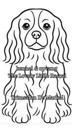 Liefdevolle huiselijke opvang kleine & middel maat
honden., Dieren en Toebehoren, Ophalen of Verzenden, Nieuw