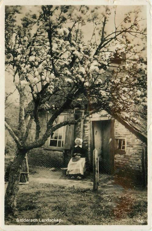 (387-025-005) Nederland Geldersch landschap, Verzamelen, Ansichtkaarten | Nederland, Gelderland, Verzenden