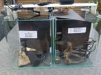 Twee Mooi compleeet nano aquariums dennerle, 25B-25D-30H, Ophalen, Zo goed als nieuw, Leeg aquarium