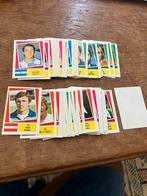 Panini vanderhout 1978 argentina, Verzamelen, Sportartikelen en Voetbal, Ophalen of Verzenden, Zo goed als nieuw, Buitenlandse clubs