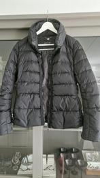 Prachtige Marccain donsjas zwart maat 38, Kleding | Dames, Jassen | Zomer, Maat 38/40 (M), Zwart, Ophalen of Verzenden, Zo goed als nieuw