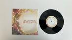 Ray Lamontagne supernova vinyl singel, Verzenden, Zo goed als nieuw
