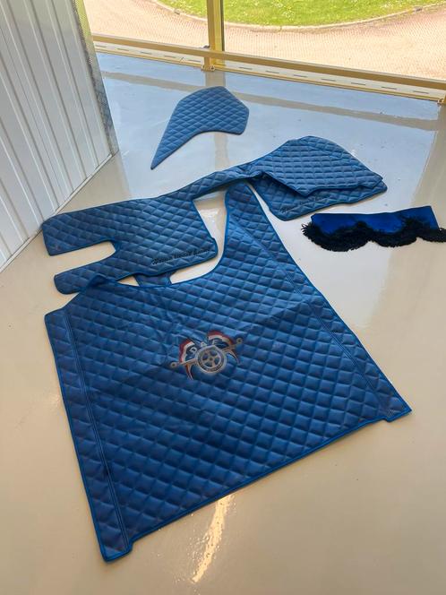 Daf xg vloermatten/tunnelhoes,raamband, dashboard plankje, Auto-onderdelen, Interieur en Bekleding, Gebruikt, Ophalen